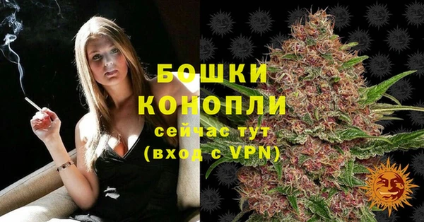 прущие крисы Верея