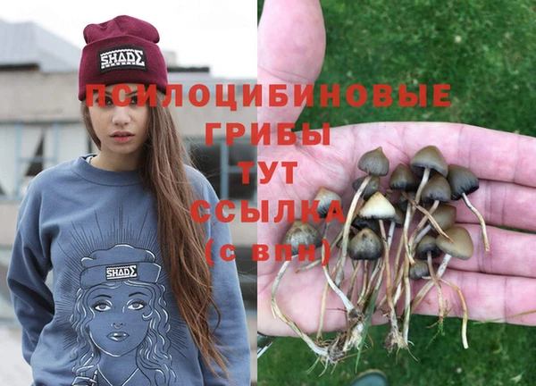 молекула духа Верхний Тагил