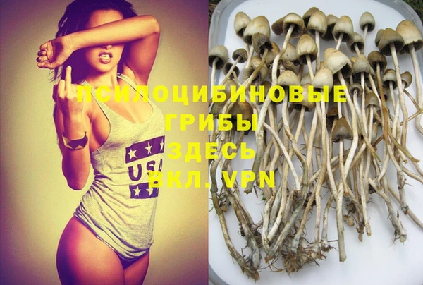 молекула духа Верхний Тагил