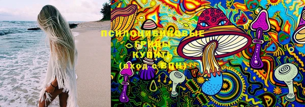 прущие крисы Верея