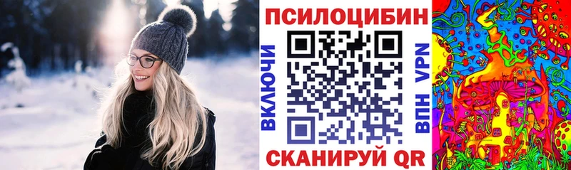 где найти   OMG зеркало  Псилоцибиновые грибы Psilocybe  Вяземский 